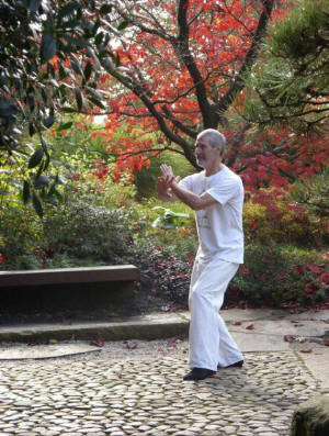 Tai Chi Experten/ Qigong Experten: Dr. Stephan Langhoff in Hamburg