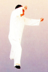 Recherche Yang-Taijiquan