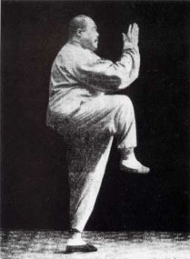 Forschung Yang-Taijiquan