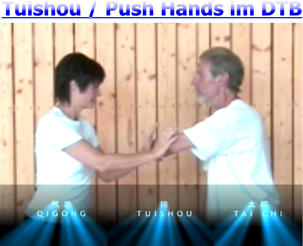 Tuishou, Push Hands, Seminar mit DTB-Coach Dr. Stephan Langhoff, Hamburg