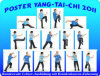 Tai Chi Poster Fotos DVDs: Jede Figur wird genau erklärt