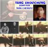 True Traditional Yang-Family-Taijiquan ?