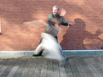 Groes Ziehen Yang-Taijiquan Martial Applications